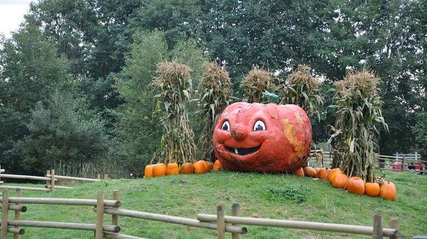 Pumpkin Patch In Richmond Virginia