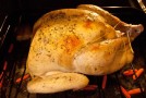 Thanksgiving harvest turkey