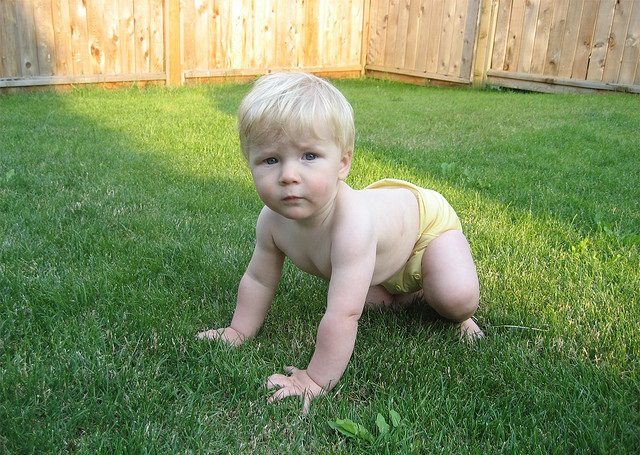 ClothDiaperBaby
