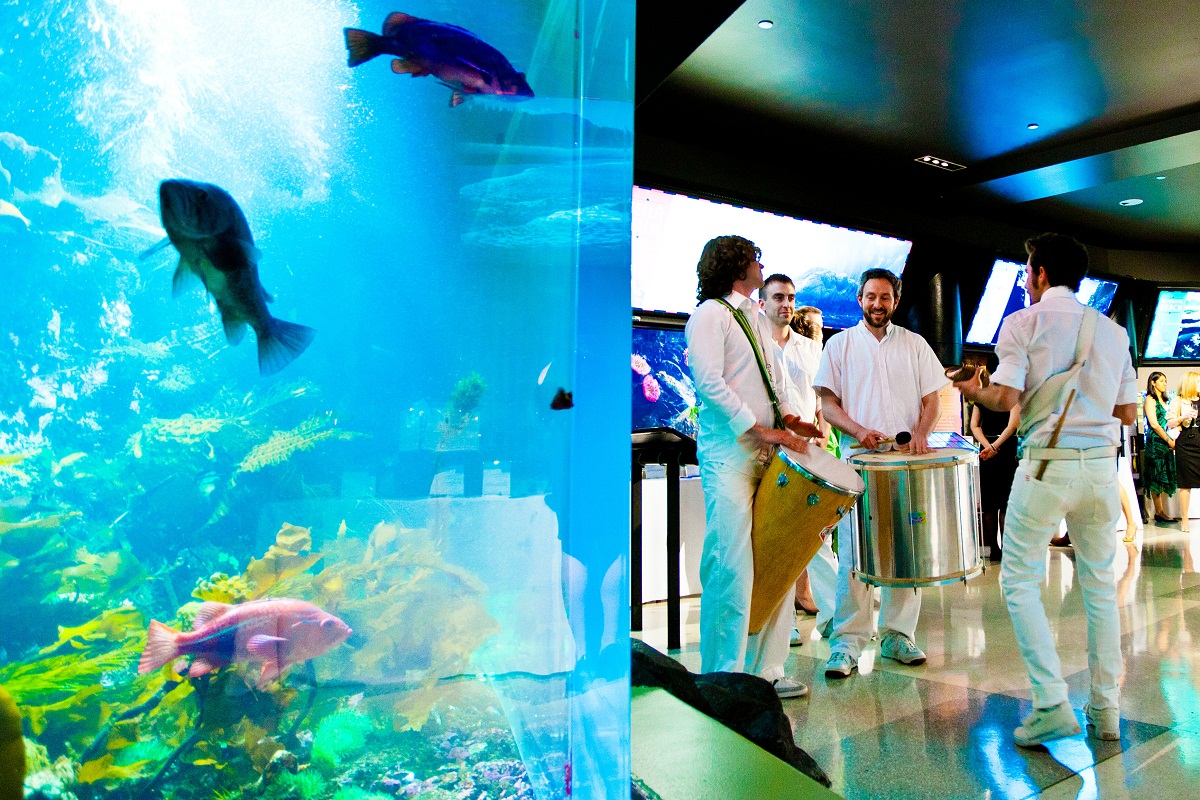 vanaqua_nata2011_hr-1306