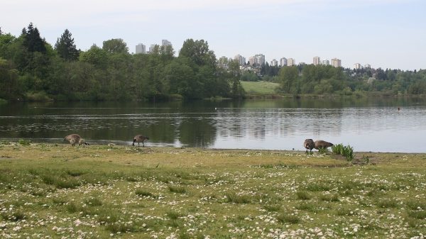 deer lake park burnaby