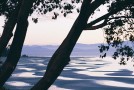 beach shot