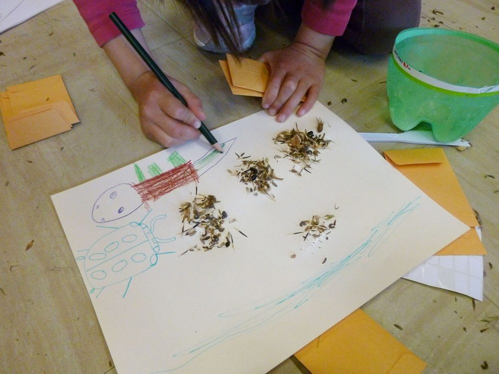 seed-workshop