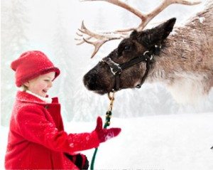 Grouse3 best of vancouver skiing and snowboarding with kids