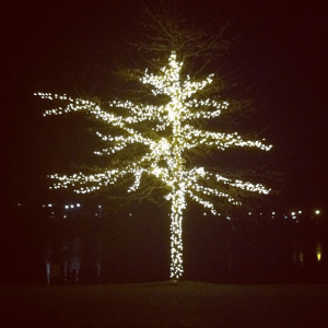 you say vancouver holiday traditions