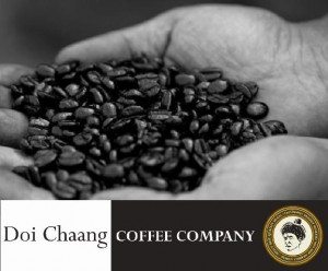 beans1 giveaway doi chaang coffee