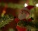 file9331292190563