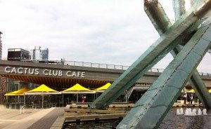 What to do in Vancouver Cactus Club, Coal Harbour