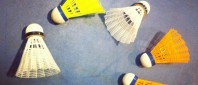 badminton vancouver birdies