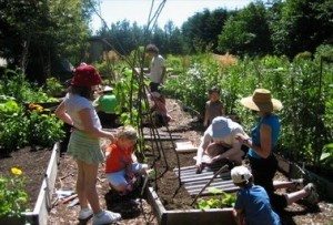 what to do in vancouver ubc farm camp