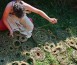 what to do in vancouver artstarts