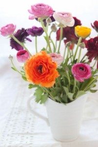 where to shop in vancouver whole foods flowers