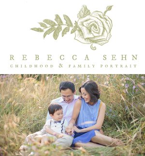 you say family portraits rebecca sehn