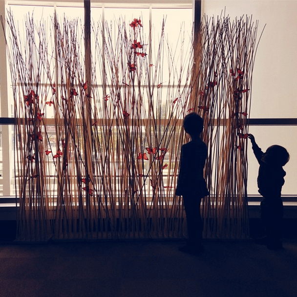 VMgram amanda lilahbility