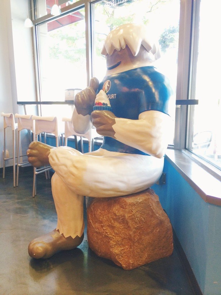 burnaby mountain yeti yogurt