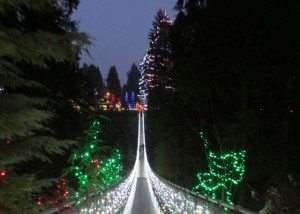 Capilano Canyon Lights