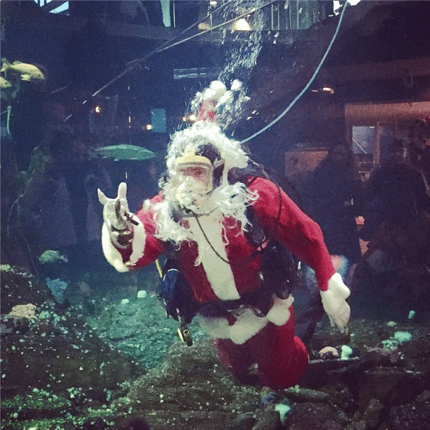 VMgram instagram jgoldfinch