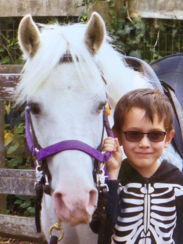 Cool Spring Break Camps: Maynards Pony Meadows