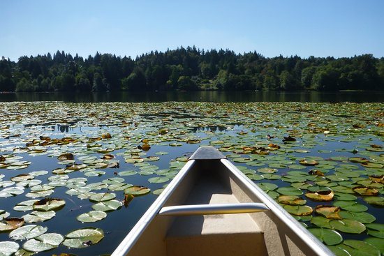 4 spots to take your kids fishing - Vancouver Is Awesome